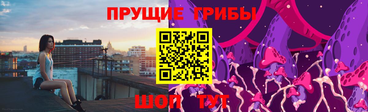 Псилоцибиновые грибы Psilocybine cubensis Губаха